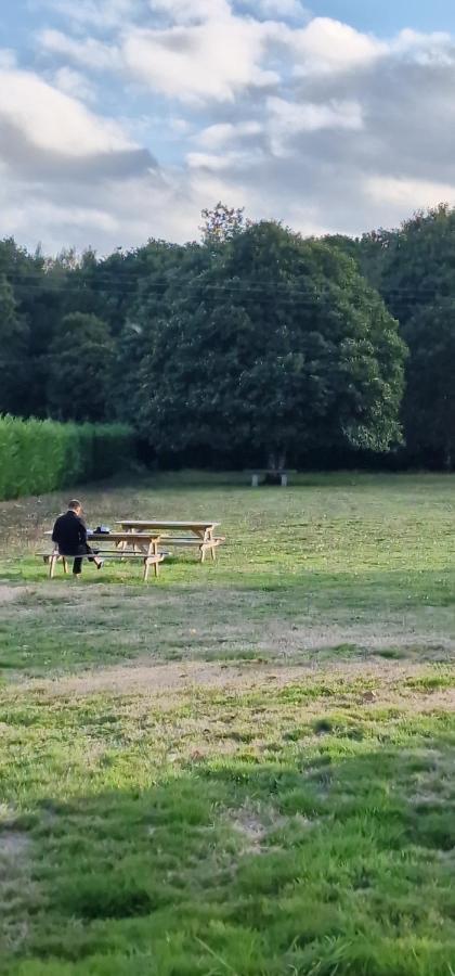 Séjour à la campagne La Cuevona De Lugo *